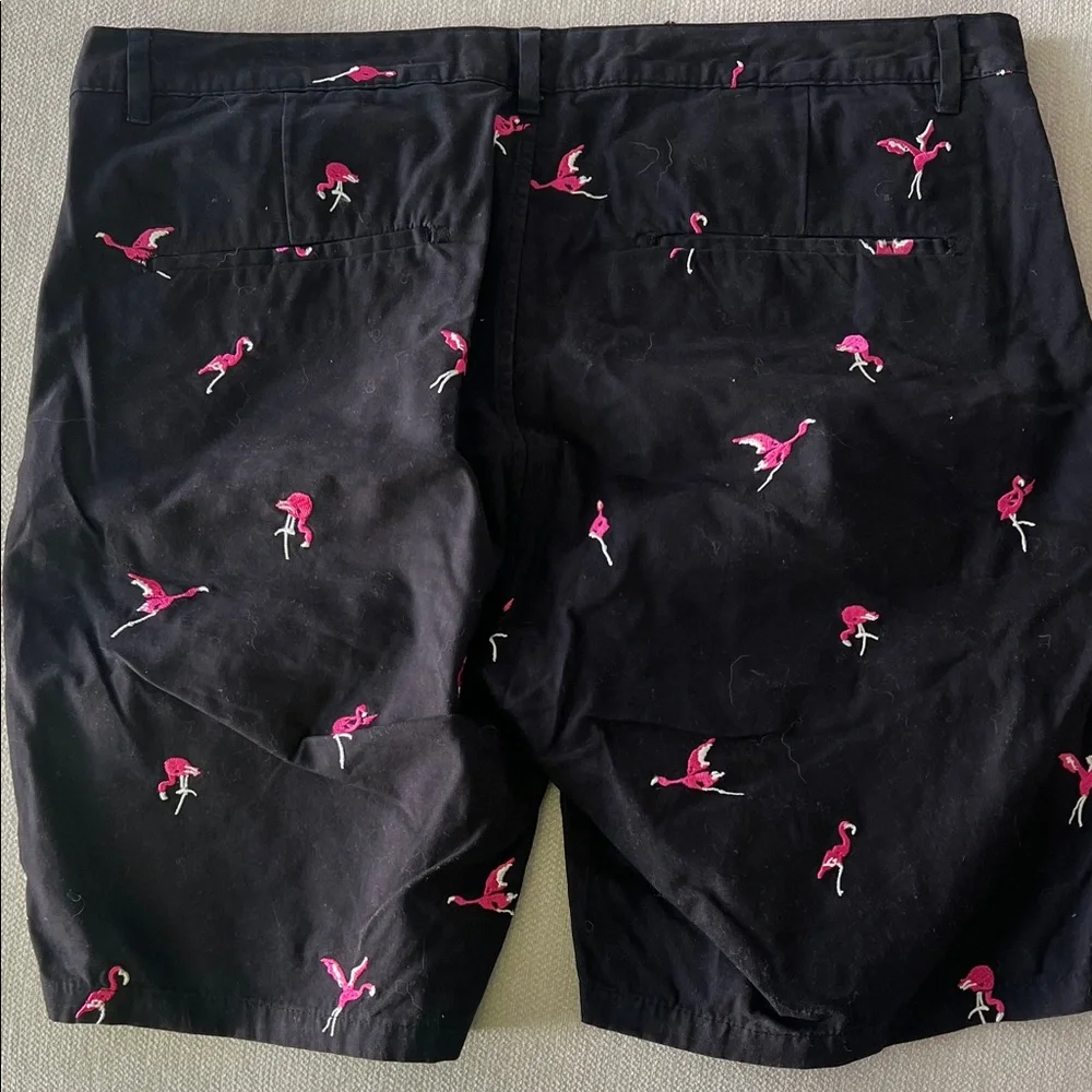 Scotch & Soda Black Shorts with Pink Flamingo Print - Picture 4 of 4